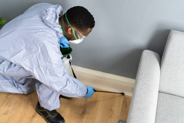 Best Pest Exclusion Services  in Belleview, FL